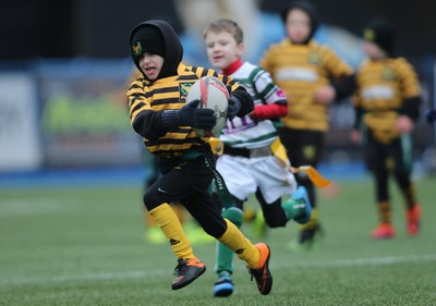 120217 - Cardiff Blues Tag Rugby Festival