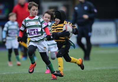 120217 - Cardiff Blues Tag Rugby Festival