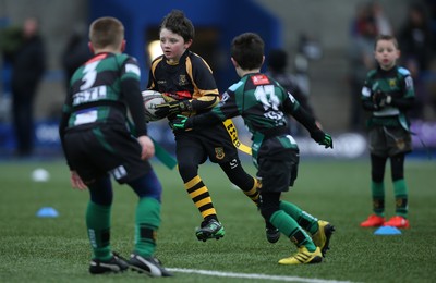 120217 - Cardiff Blues Tag Rugby Festival