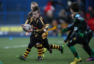 120217 - Cardiff Blues Tag Rugby Festival
