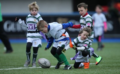 120217 - Cardiff Blues Tag Rugby Festival