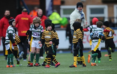 120217 - Cardiff Blues Tag Rugby Festival