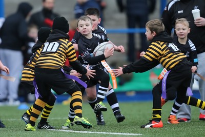 120217 - Cardiff Blues Tag Rugby Festival