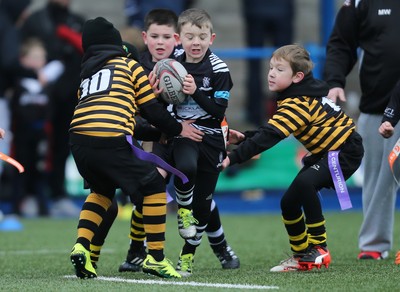 120217 - Cardiff Blues Tag Rugby Festival
