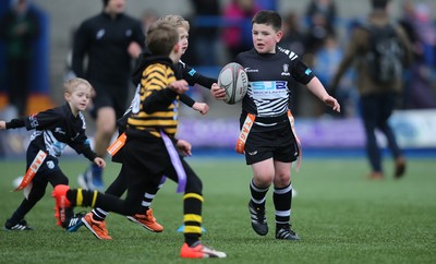 120217 - Cardiff Blues Tag Rugby Festival