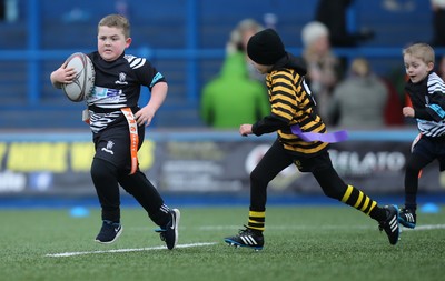120217 - Cardiff Blues Tag Rugby Festival