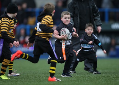 120217 - Cardiff Blues Tag Rugby Festival