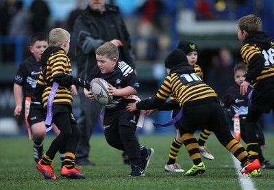 120217 - Cardiff Blues Tag Rugby Festival