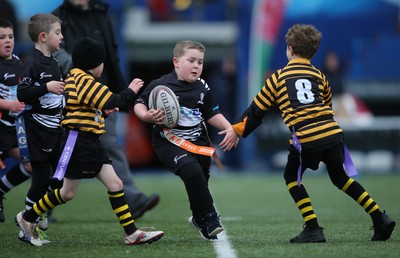 120217 - Cardiff Blues Tag Rugby Festival