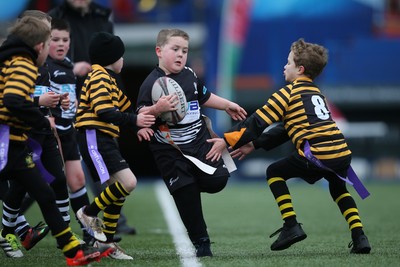 120217 - Cardiff Blues Tag Rugby Festival