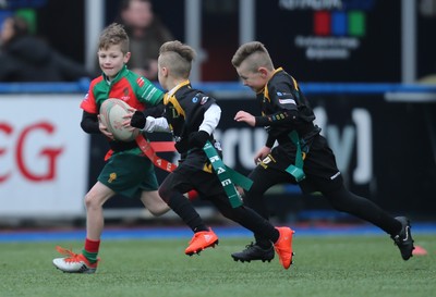 120217 - Cardiff Blues Tag Rugby Festival