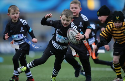 120217 - Cardiff Blues Tag Rugby Festival