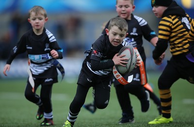 120217 - Cardiff Blues Tag Rugby Festival