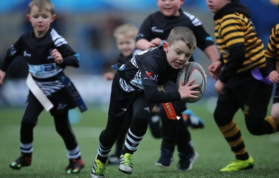 120217 - Cardiff Blues Tag Rugby Festival