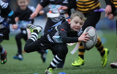 120217 - Cardiff Blues Tag Rugby Festival