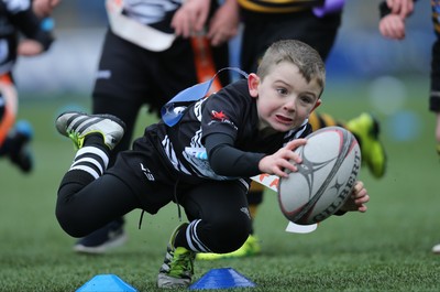 120217 - Cardiff Blues Tag Rugby Festival
