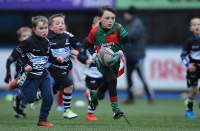 120217 - Cardiff Blues Tag Rugby Festival