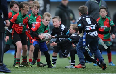 120217 - Cardiff Blues Tag Rugby Festival