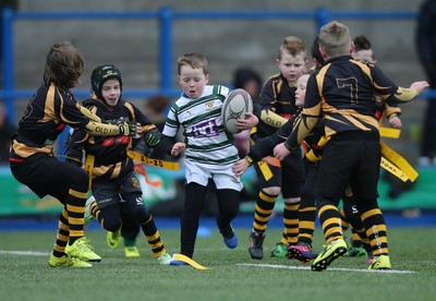 120217 - Cardiff Blues Tag Rugby Festival