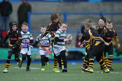 120217 - Cardiff Blues Tag Rugby Festival