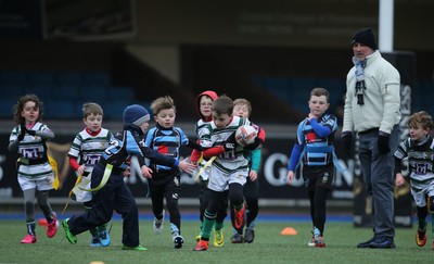 120217 - Cardiff Blues Tag Rugby Festival