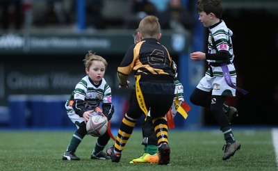 120217 - Cardiff Blues Tag Rugby Festival