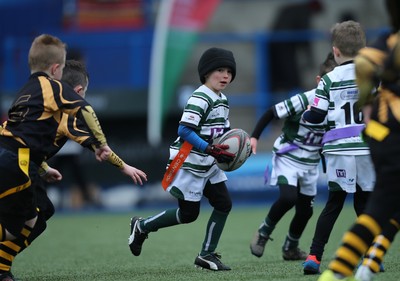 120217 - Cardiff Blues Tag Rugby Festival