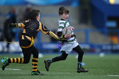 120217 - Cardiff Blues Tag Rugby Festival