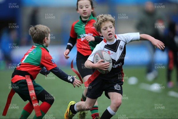 120217 - Cardiff Blues Tag Rugby Festival