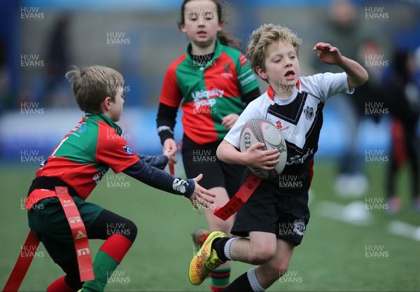 120217 - Cardiff Blues Tag Rugby Festival