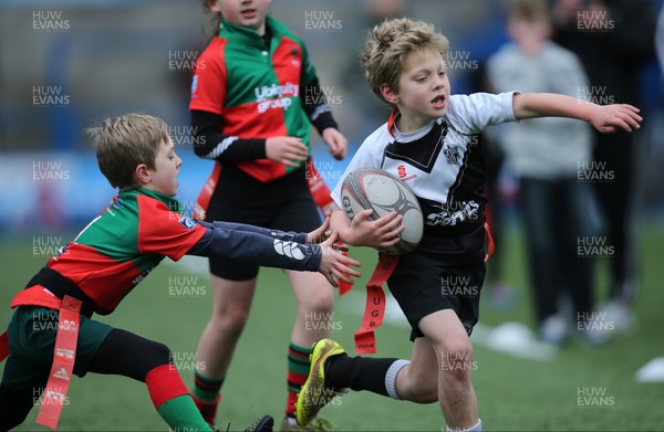 120217 - Cardiff Blues Tag Rugby Festival