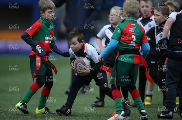 120217 - Cardiff Blues Tag Rugby Festival