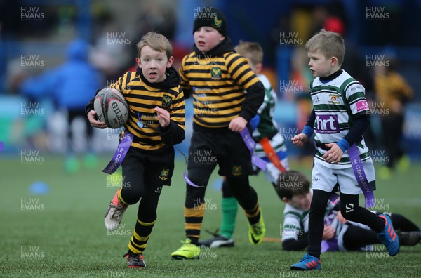 120217 - Cardiff Blues Tag Rugby Festival