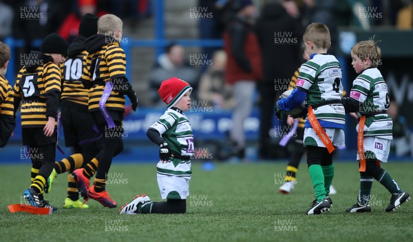 120217 - Cardiff Blues Tag Rugby Festival