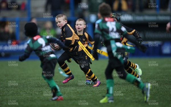 120217 - Cardiff Blues Tag Rugby Festival