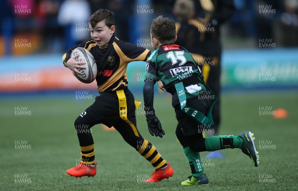 120217 - Cardiff Blues Tag Rugby Festival