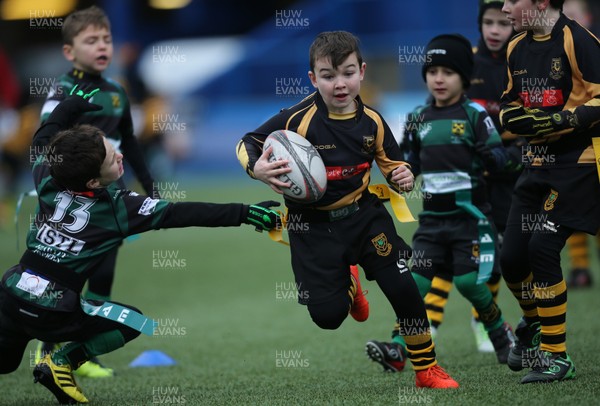 120217 - Cardiff Blues Tag Rugby Festival