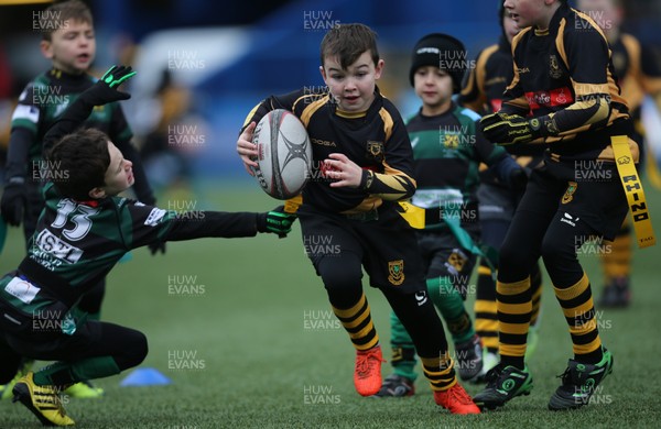 120217 - Cardiff Blues Tag Rugby Festival