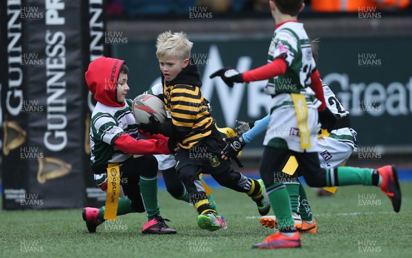120217 - Cardiff Blues Tag Rugby Festival