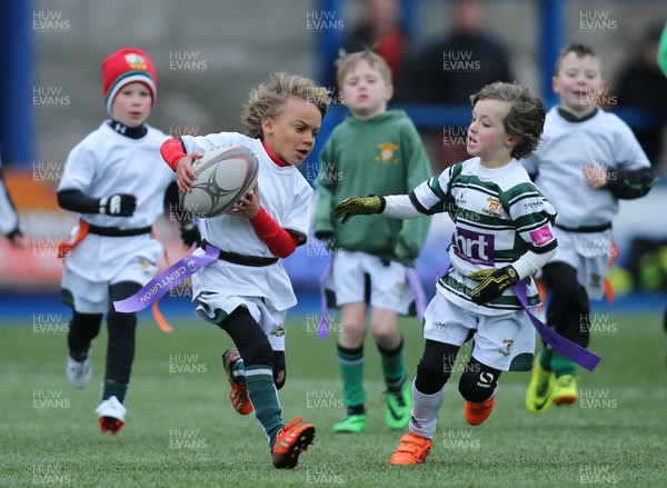 120217 - Cardiff Blues Tag Rugby Festival