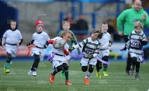 120217 - Cardiff Blues Tag Rugby Festival