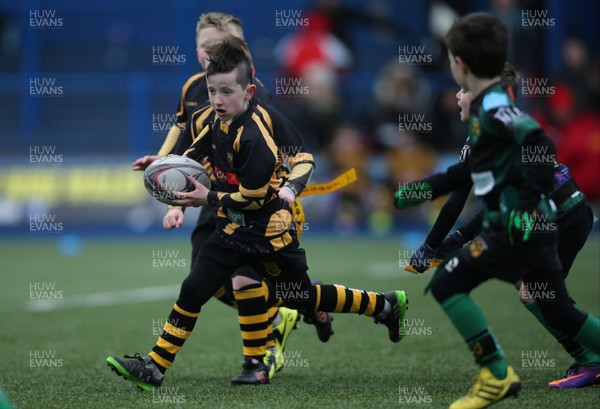 120217 - Cardiff Blues Tag Rugby Festival
