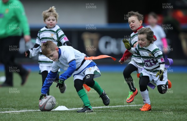 120217 - Cardiff Blues Tag Rugby Festival