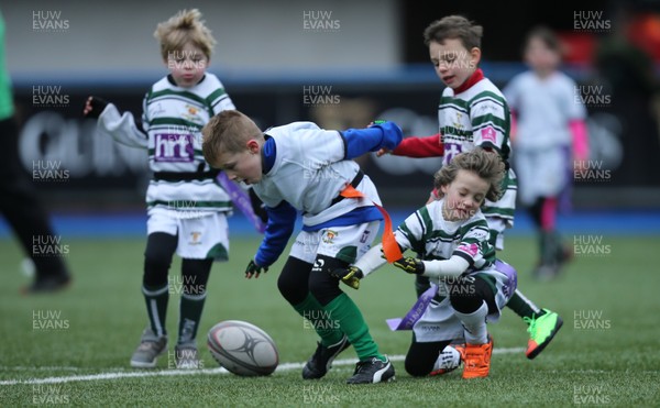 120217 - Cardiff Blues Tag Rugby Festival