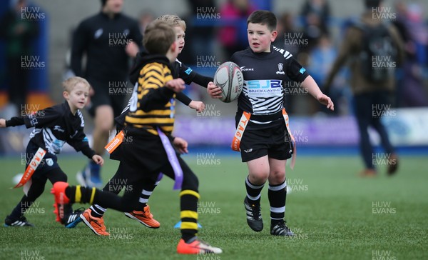 120217 - Cardiff Blues Tag Rugby Festival