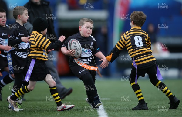 120217 - Cardiff Blues Tag Rugby Festival