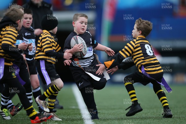 120217 - Cardiff Blues Tag Rugby Festival