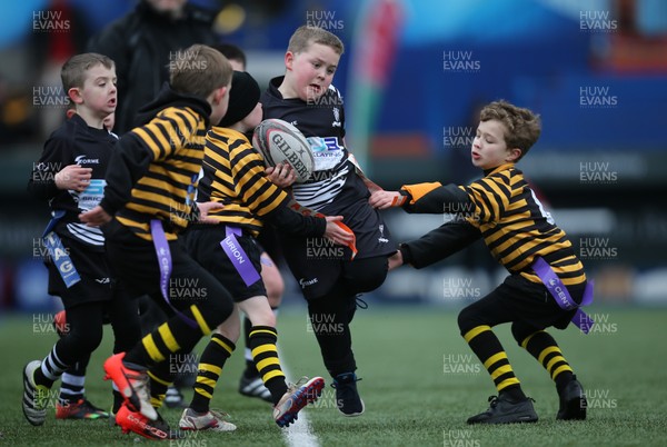 120217 - Cardiff Blues Tag Rugby Festival