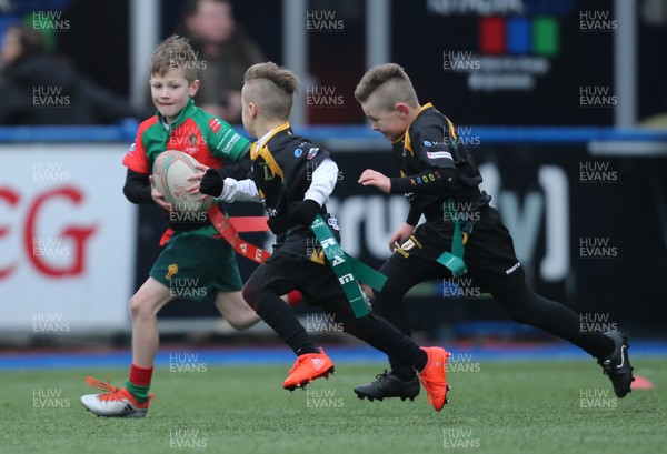 120217 - Cardiff Blues Tag Rugby Festival