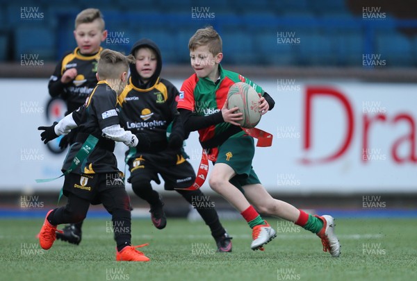 120217 - Cardiff Blues Tag Rugby Festival